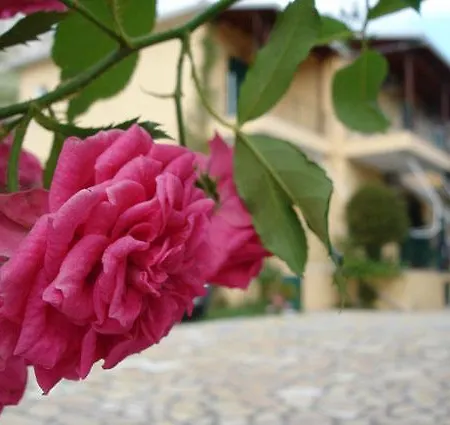 Alexia Apartament *